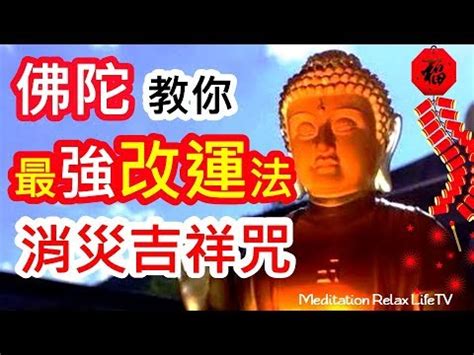 改變命運的咒語|給免簽還解禁水產 中國為何討好日本？習近平的戰狼外交為何變。